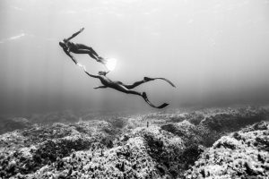 Freedivers Underwater