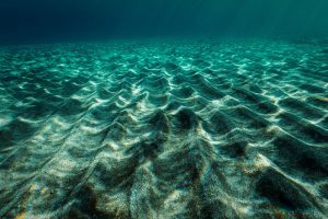Black sand // Aeolean Islands, Sicily Underwater
