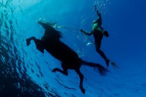 Seahorse series // Summer Heat 1 Underwater