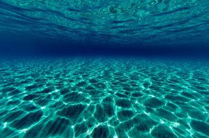 Magical Sardinia // Italy Underwater