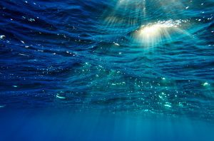 Rays of light // Gozo Underwater