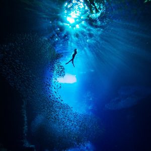 Tonga Underwater