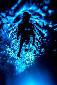 Fabrice Bonello DuPuis // Gozo Underwater