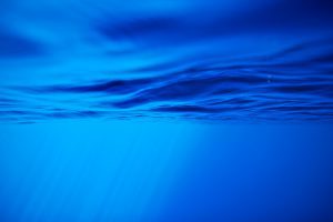 Blue // Gozo Underwater