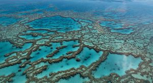 Great Barrier Reef // Australia 