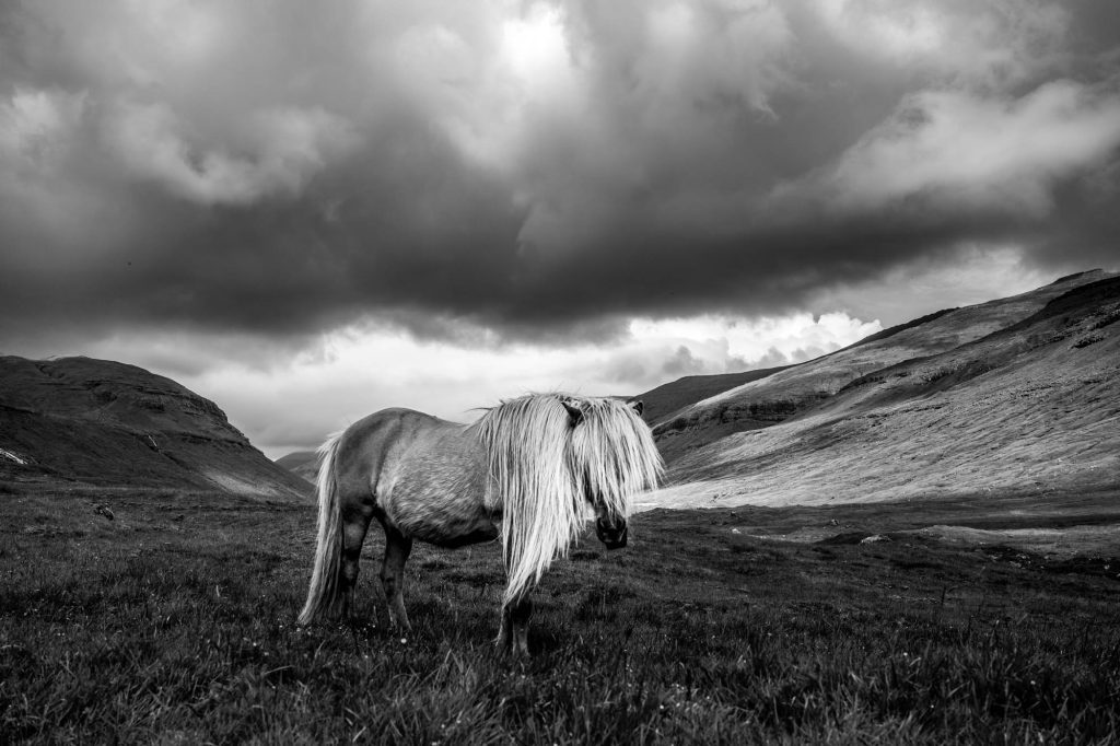 Faroe Islands /  