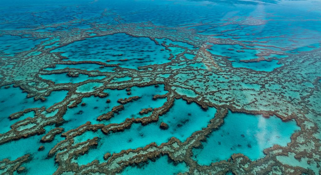 OZ / Barrier Reef Barrier Reef