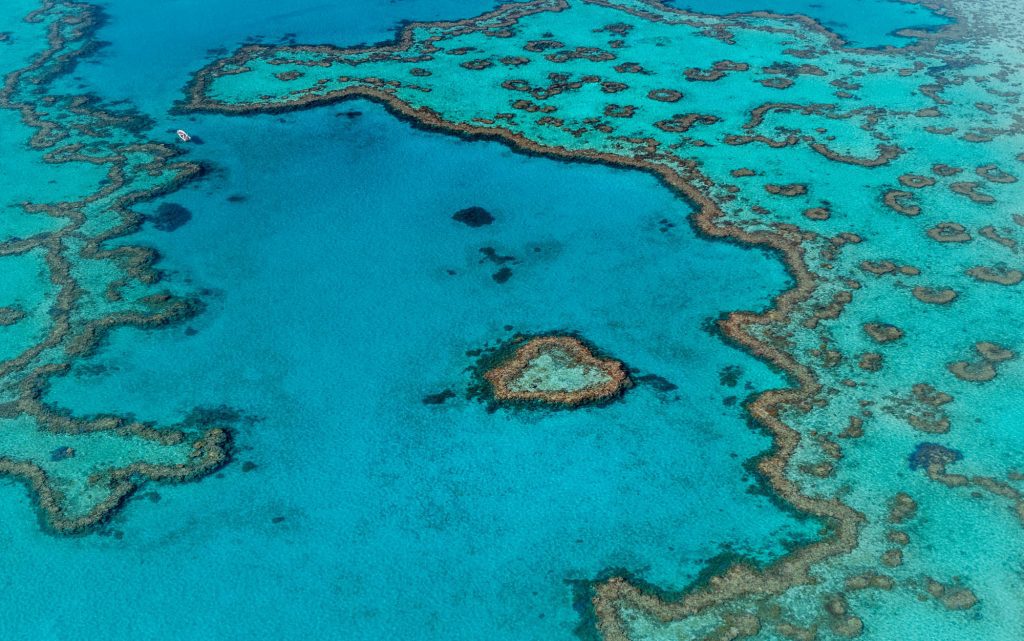 OZ / Barrier Reef Barrier Reef