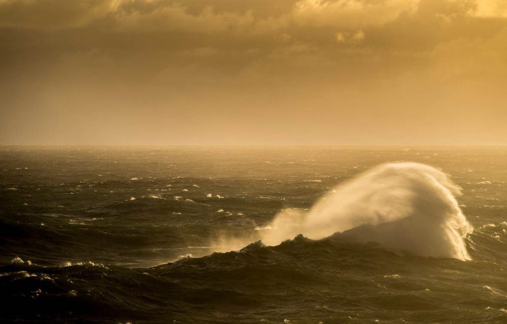 Sea Spray / West Coast West Coast