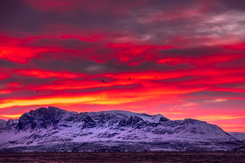 Arctic Circle / Norway Norway