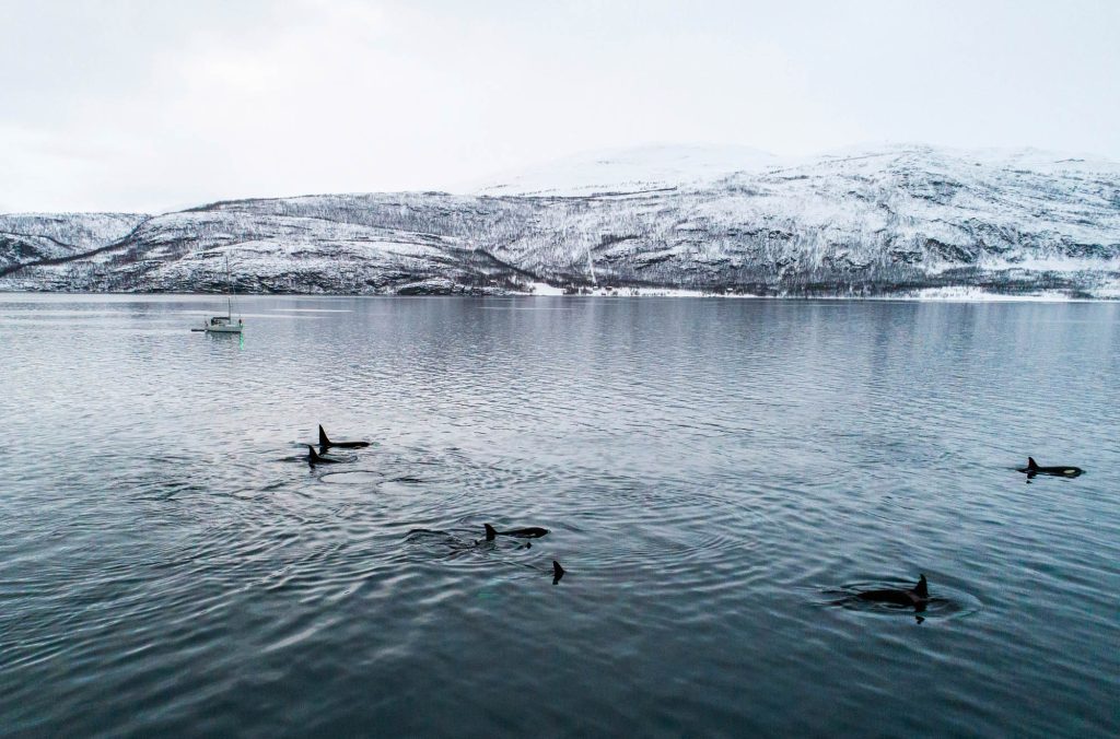 Arctic Circle / Norway Norway