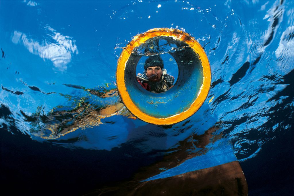 Fish Culture / Looking Glass Looking Glass