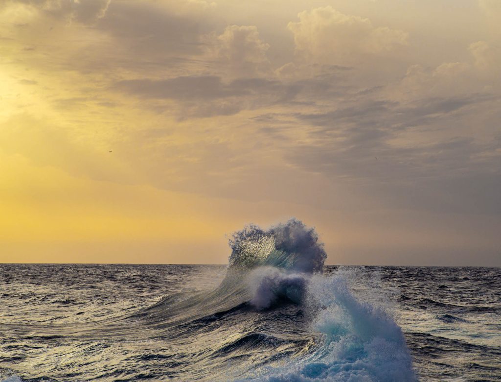 Sea Spray / ocean love ocean love