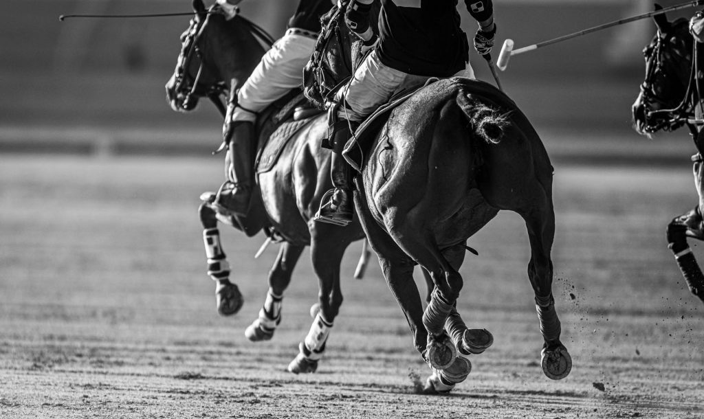 polo / Polo, Malta Polo, Malta