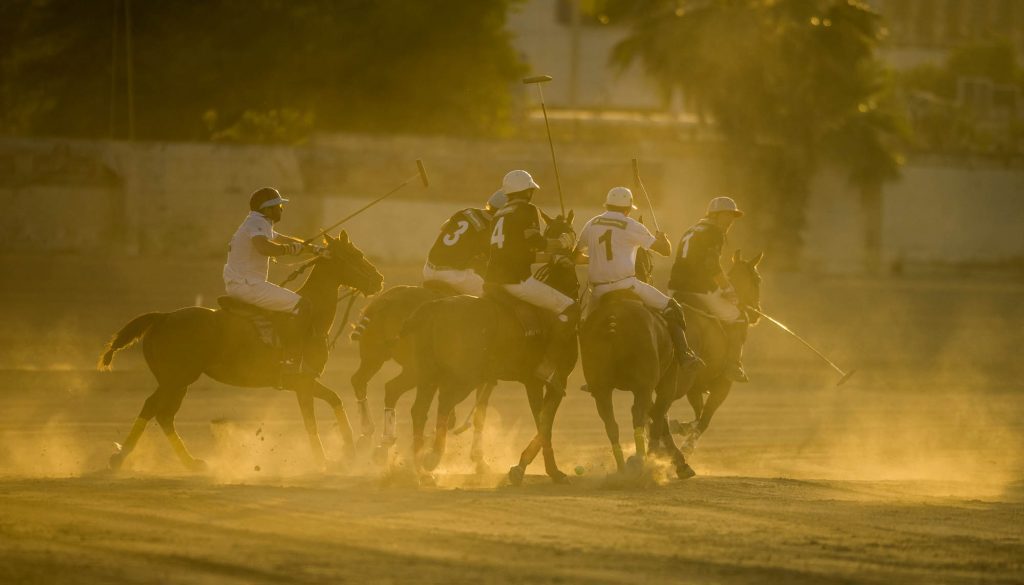 polo / Malta Malta