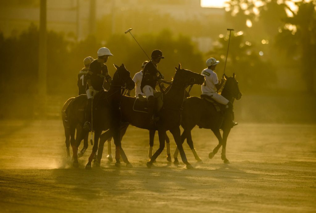 polo / Malta Malta