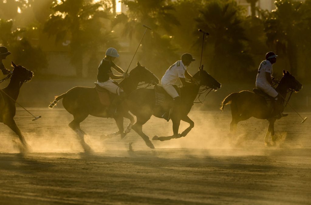 polo / Malta Malta