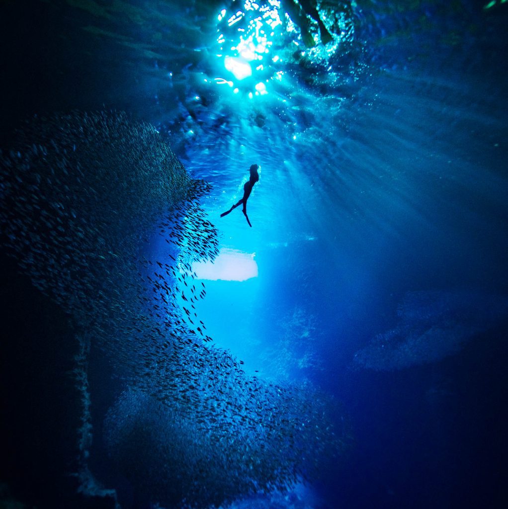 Below / Swallows Cave, Tonga Swallows Cave, Tonga