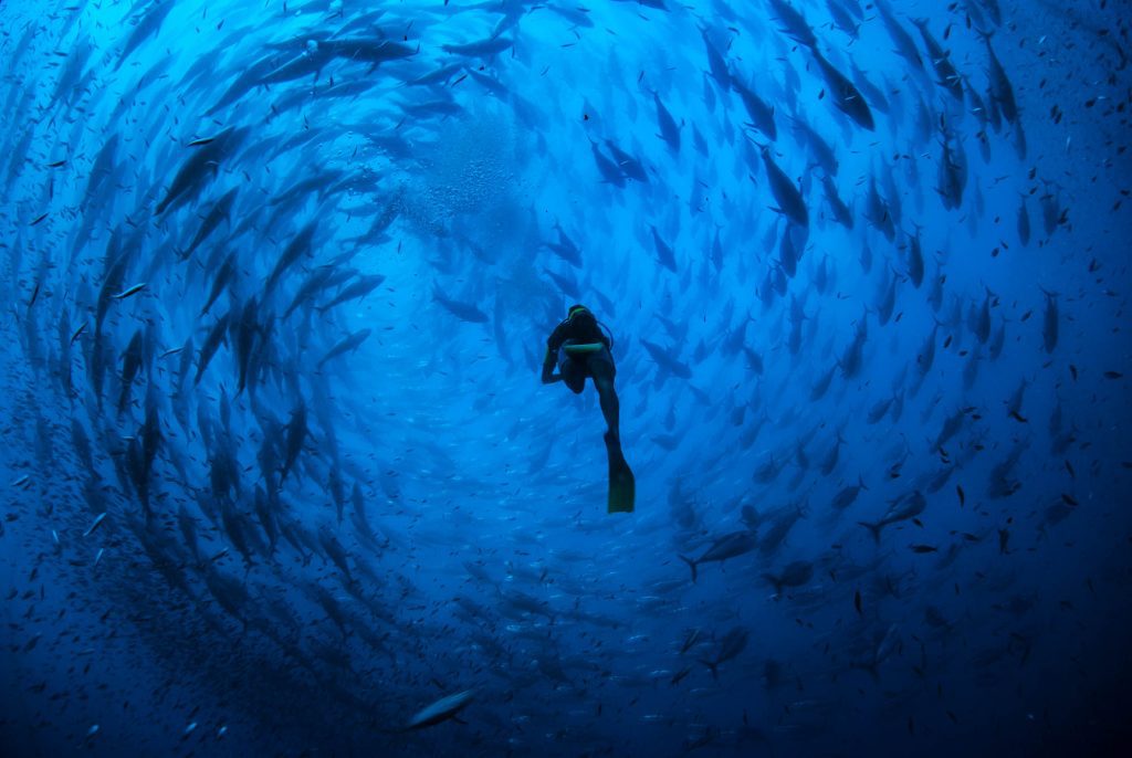 Below / Mediterranean Mediterranean