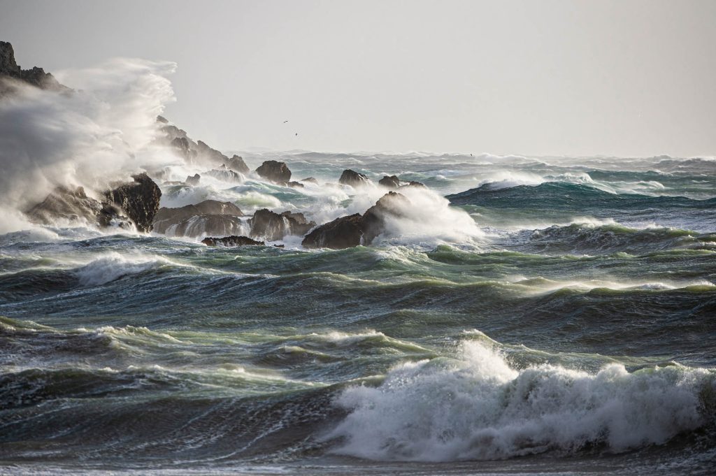 Sea Spray / West Coast West Coast