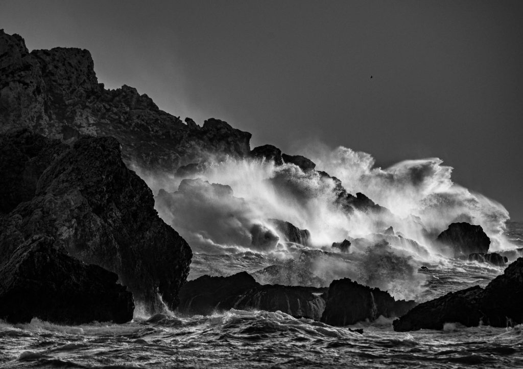 Coastal / West Coast West Coast